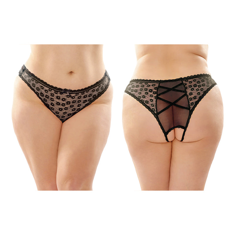 Fantasy Lingerie Daisy Crotchless Lace & Mesh Panty With Criss-Cross Panel Back 6-Pack Queen Size Black